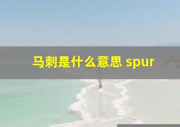 马刺是什么意思 spur